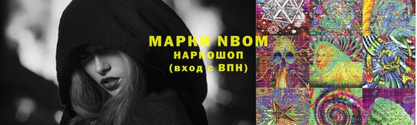прущий лед Алзамай