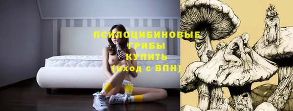 прущий лед Алзамай