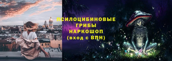 индика Абдулино
