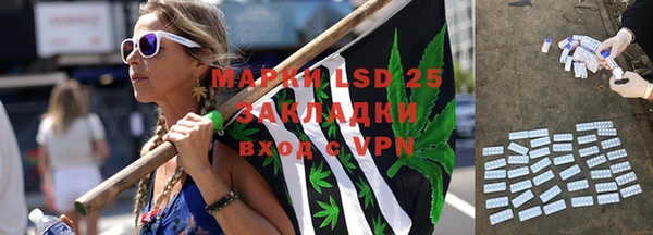 прущий лед Алзамай