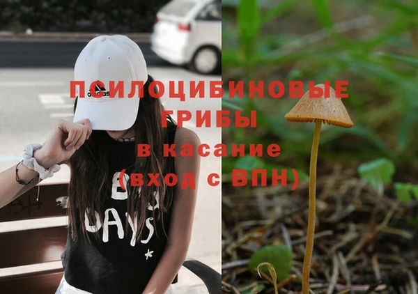 индика Абдулино