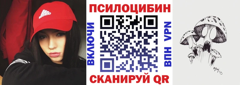 Псилоцибиновые грибы Psilocybine cubensis  Монино 